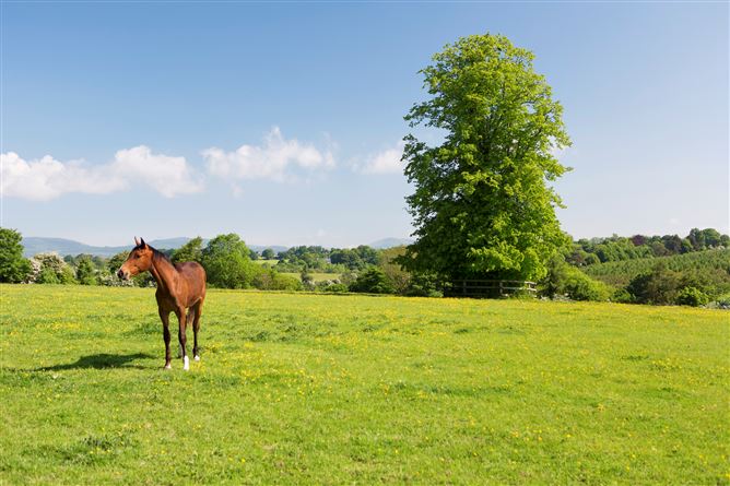 Ballygriggan House, Ballygriggan, Castletownroche, Co. Cork