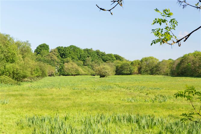 Ballygriggan House, Ballygriggan, Castletownroche, Co. Cork