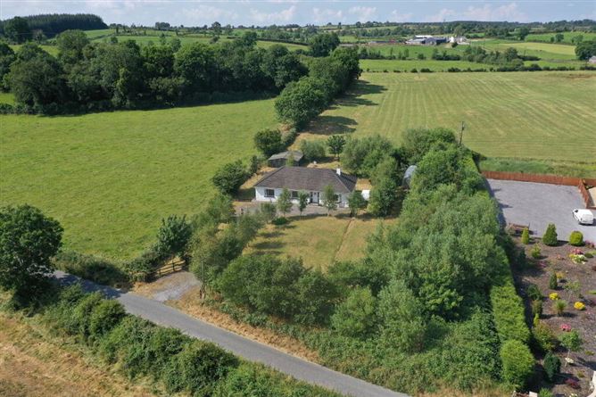 Cullenrevagh, Carrick- Shannon, Hill Street, Roscommon