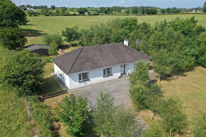 Cullenrevagh, Carrick- Shannon, Hill Street, Roscommon