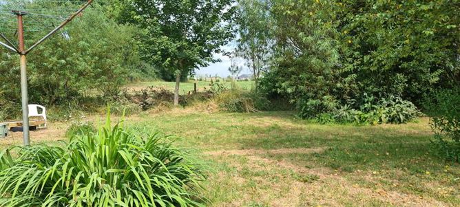 Cullenrevagh, Carrick- Shannon, Hill Street, Roscommon