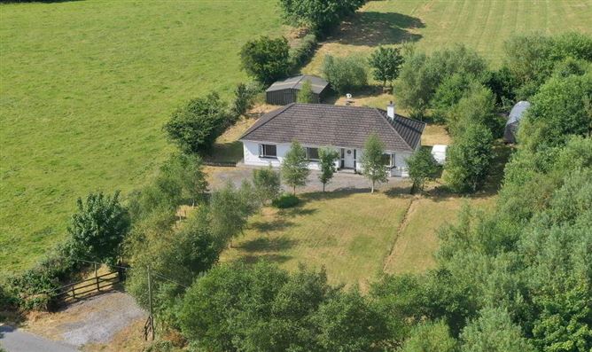 Cullenrevagh, Carrick- Shannon, Hill Street, Roscommon