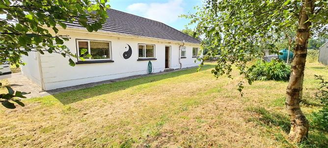 Cullenrevagh, Carrick- Shannon, Hill Street, Roscommon