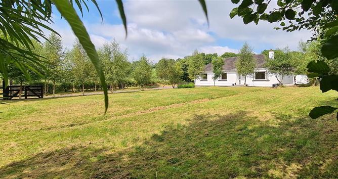 Cullenrevagh, Carrick- Shannon, Hill Street, Roscommon