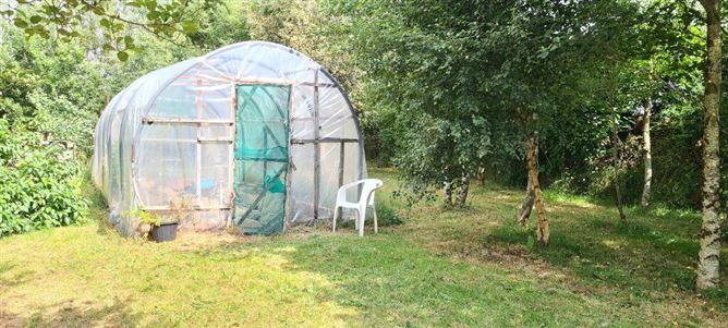 Cullenrevagh, Carrick- Shannon, Hill Street, Roscommon