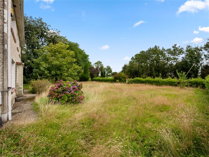 Courthoyle New, Adamstown, Wexford