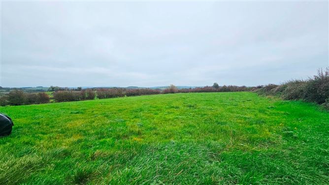 Drumanespick, Bailieborough, Co. Cavan