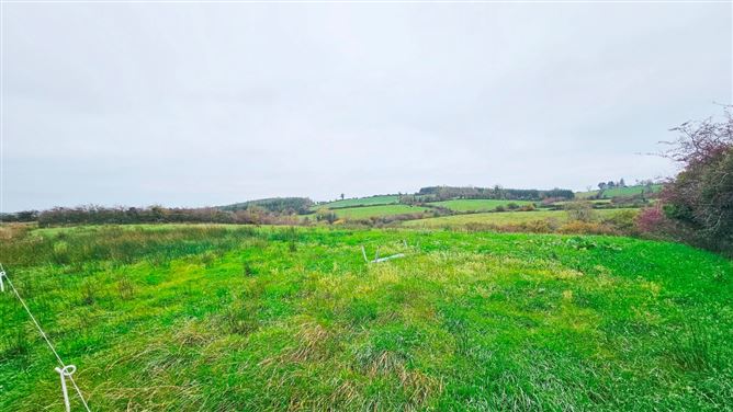 Drumanespick, Bailieborough, Co. Cavan