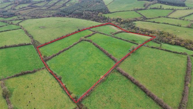 Drumanespick, Bailieborough, Co. Cavan