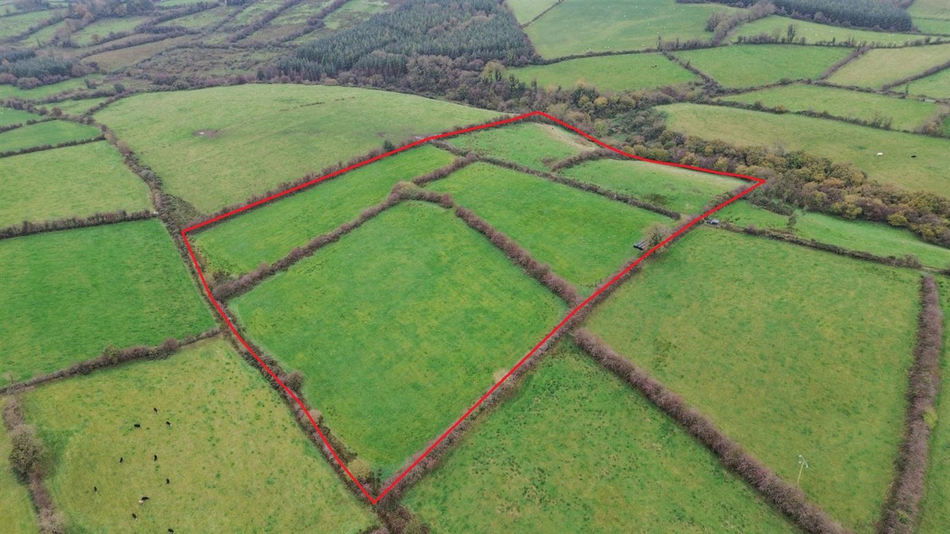 Drumanespick, Bailieborough, Co. Cavan