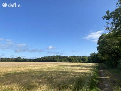 Forestry Land at Clonbrin, Rathangan, Kildare