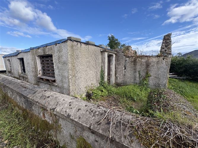 Briskil, Longford, Newtownforbes, Co. Longford