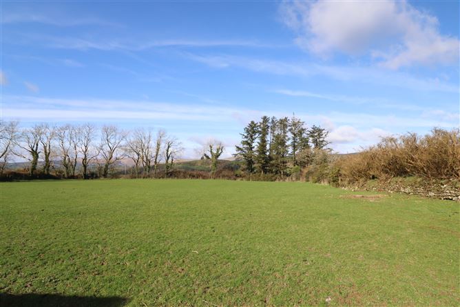https://photos-a.propertyimages.ie/media/0/5/1/4682150/6f841c6f-cf12-4243-8a14-d942a4a0ee01_l.jpg
