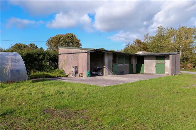 8.6 Acres At Curragreen, Coast Road, Roscam, Galway
