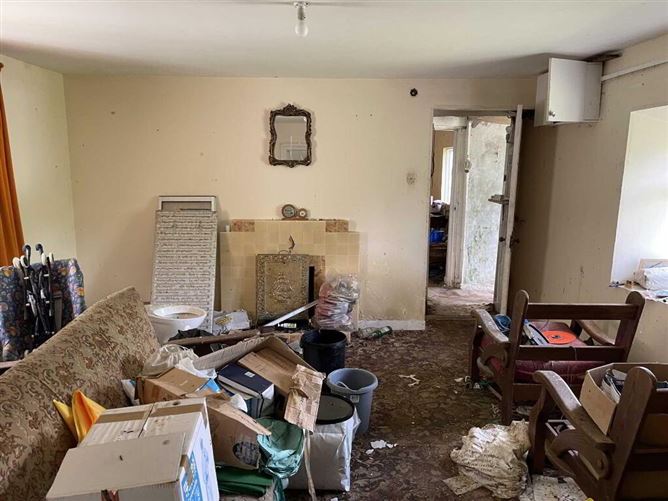 Forelacka, Kinnitty, Birr, Offaly REA Seamus Browne 4710250