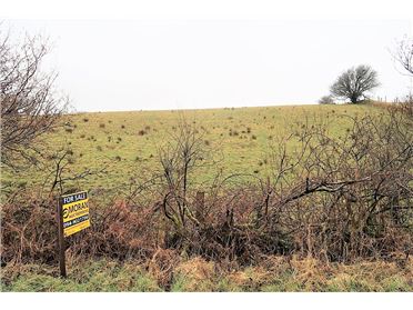 Image for 10 acres of land for sale by Private Treaty ,Knockaneden, Ballynamarroge, Islandeady , Castlebar, Mayo