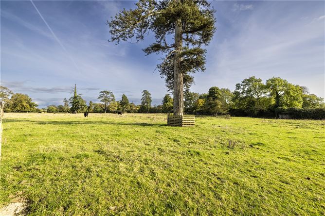 Cooperhill House, Julianstown, Co. Meath