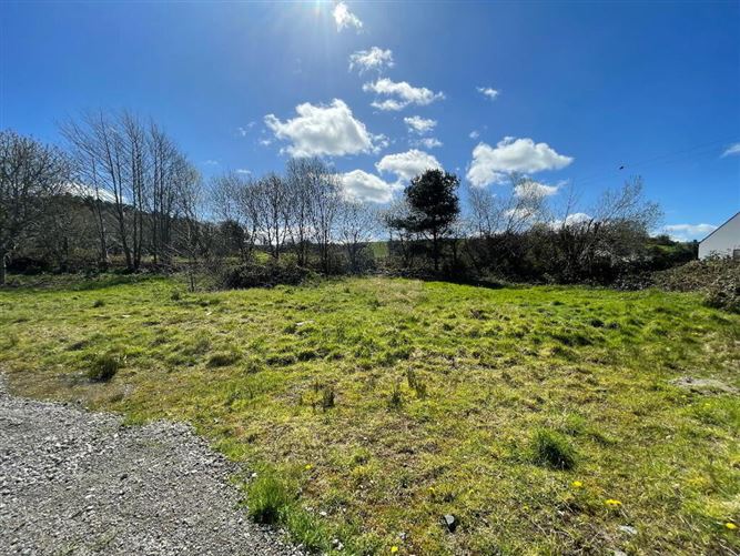 Ballygannon More, Glenealy, Wicklow