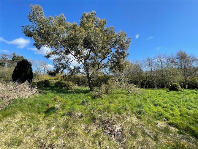 Ballygannon More, Glenealy, Wicklow