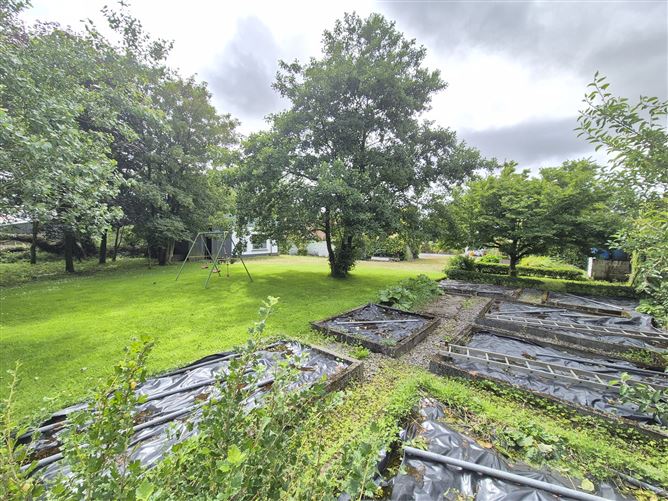 Woodquay, Tuam, Galway