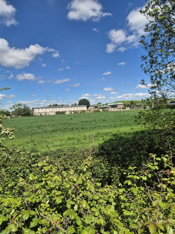 Agricultural Land, Abbey Meadows, Castledermot, Co. Kildare