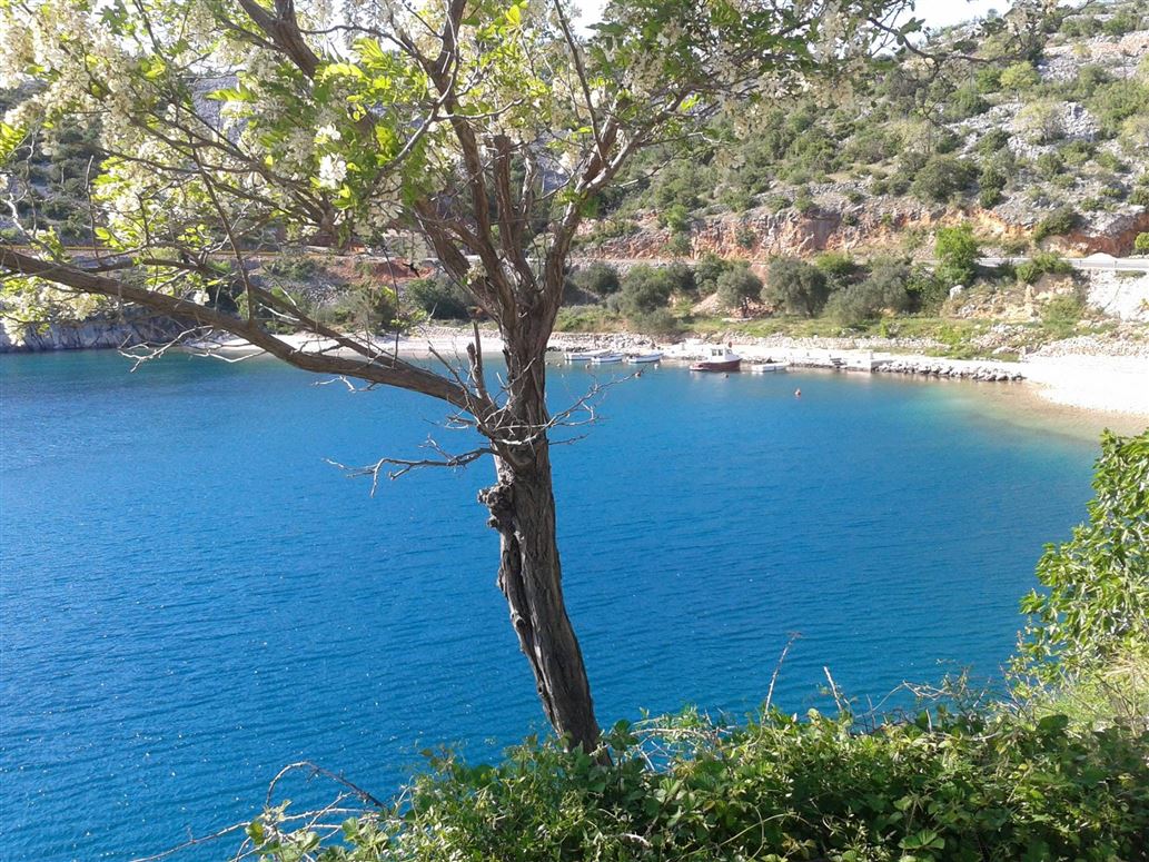 Green Gate Gardens,Tribanj, Dalmatia - Zadar, Croatia