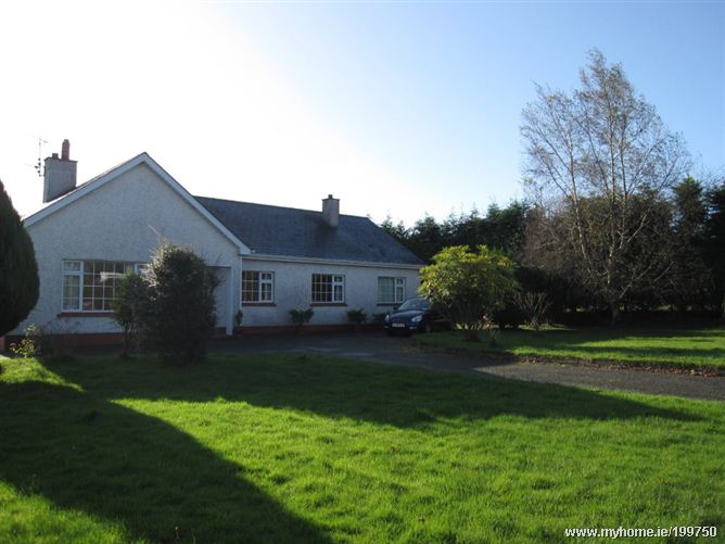 Lurgans, Carrickmacross, Co. Monaghan O'Hanlon Property 199750