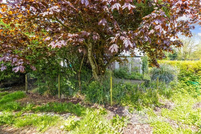 6 Clonbun, Trim, Co. Meath