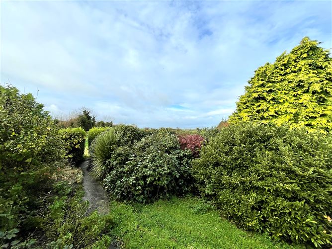 Little Battonhurst, Kilflynn, Kerry
