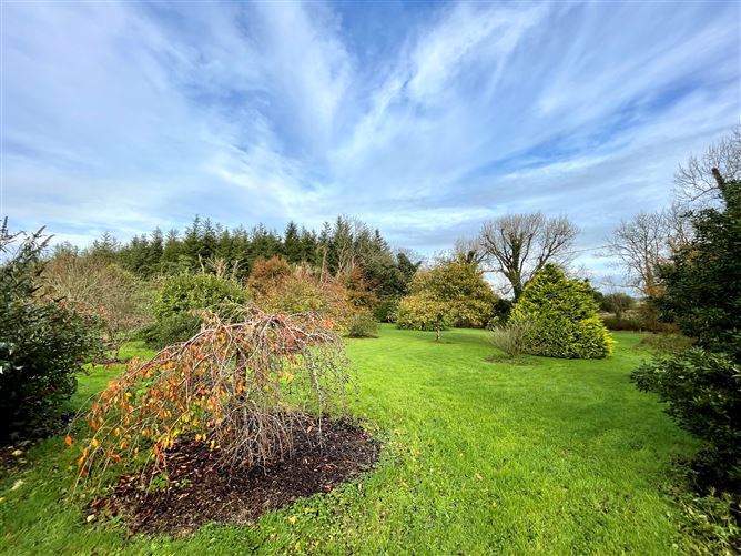 Little Battonhurst, Kilflynn, Kerry