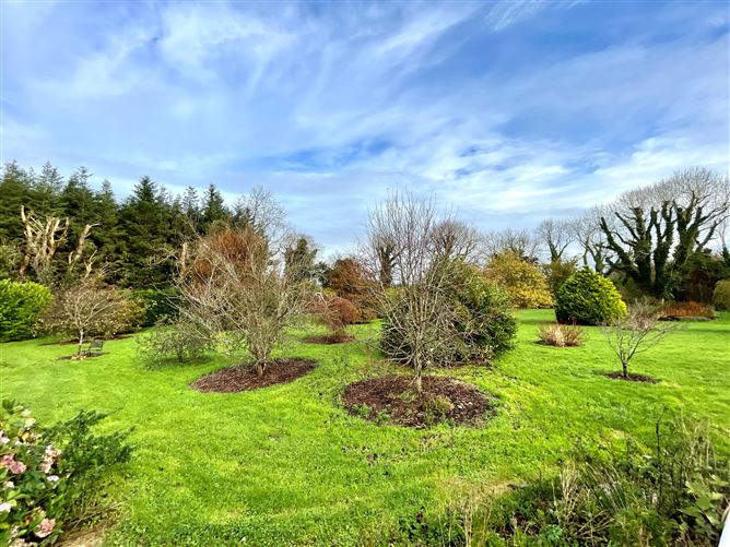 Little Battonhurst, Kilflynn, Kerry