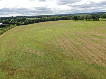 Laracor, Trim, Meath