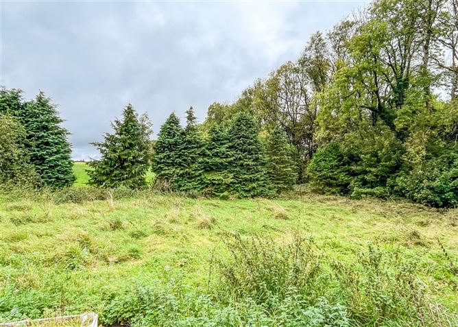 Rathfuadagh, Tulsk, Co. Roscommon