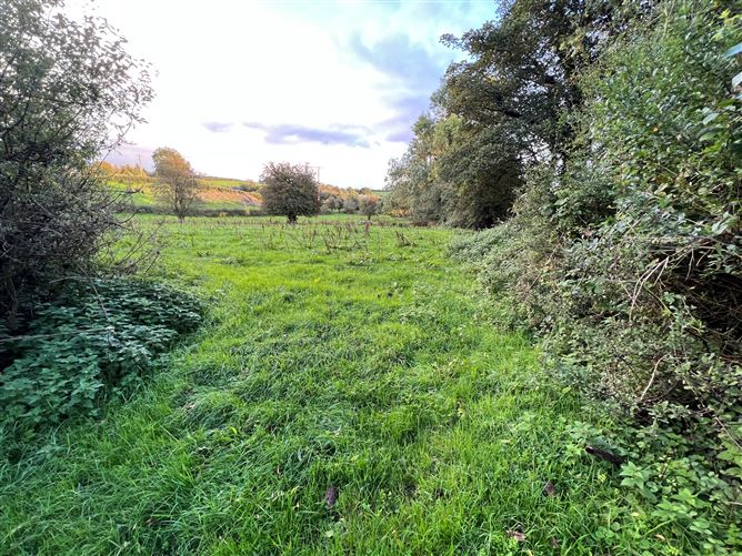 Corrawillin, Castleshane, Monaghan Town, Monaghan