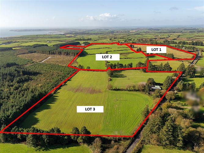 Circa 60 acres, Reanaclogheen, Old Parish, Dungarvan, Waterford