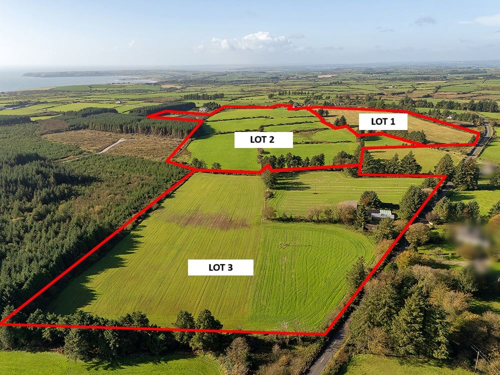 Circa 60 acres, Reanaclogheen, Old Parish, Dungarvan, Waterford