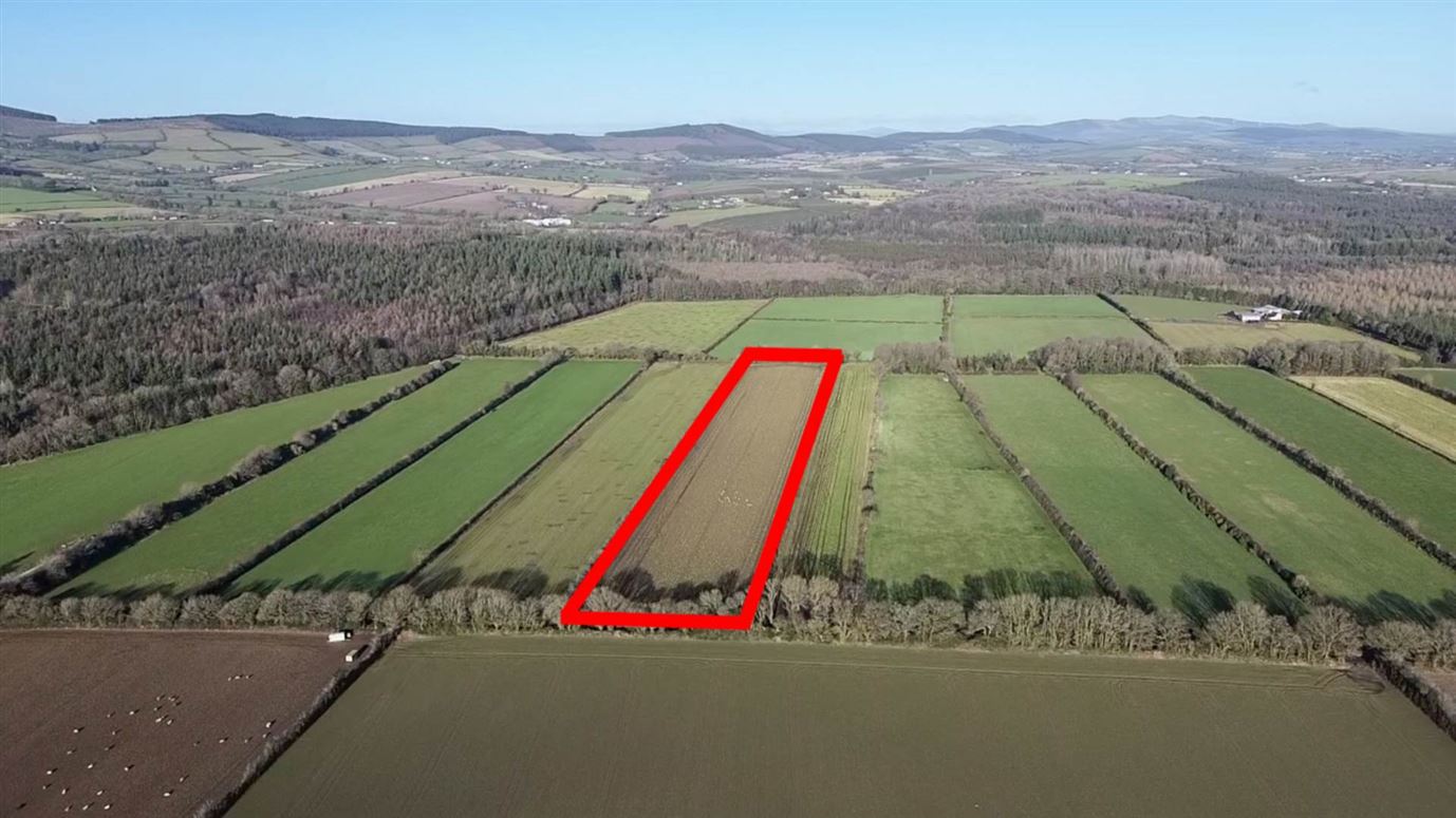Camolin Park (C. 6.3 Acres), Camolin, Gorey, County Wexford