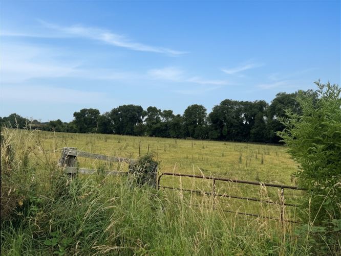 Land c. 5.5 Acres, Dowdenstown, Ballymore Eustace, Kildare
