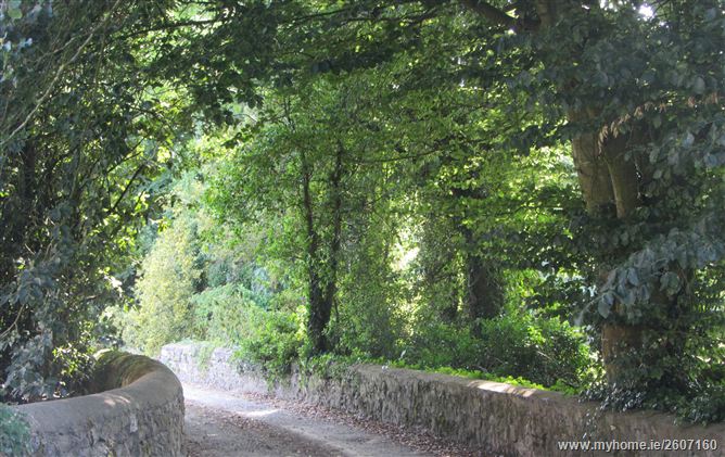 Gaile House, Cashel, Tipperary