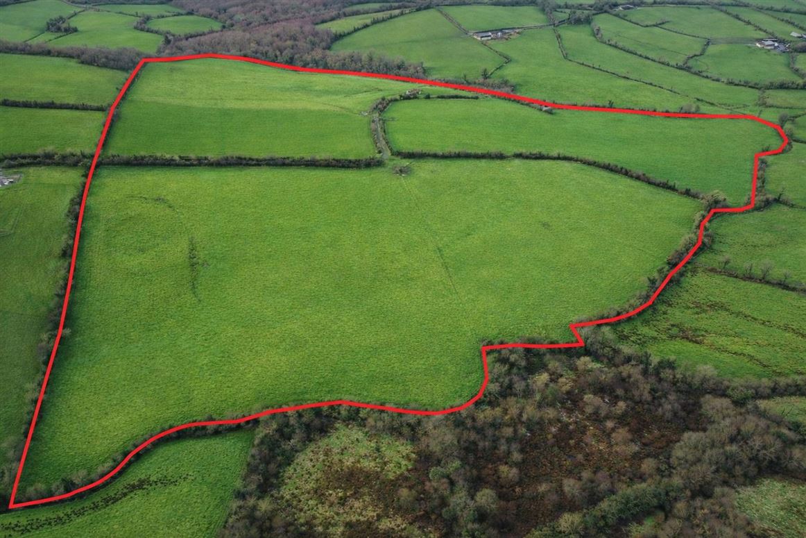 c.50ac Killylaragh, Emyvale, Monaghan