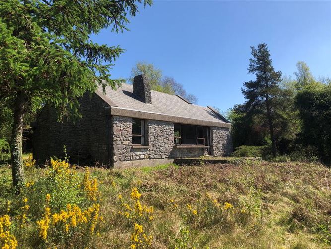 Barley Harbour, Newtowncashel, Roscommon