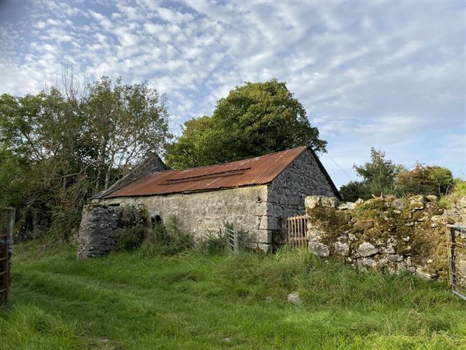 Knocknagilky, Hacketstown, Carlow
