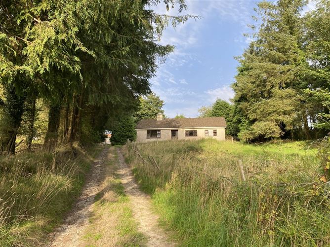 Knocknagilky, Hacketstown, Carlow