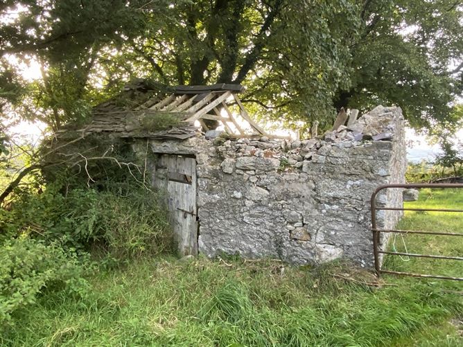 Knocknagilky, Hacketstown, Carlow
