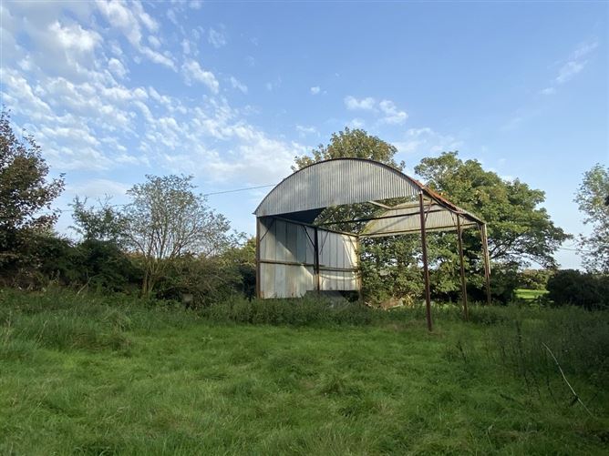 Knocknagilky, Hacketstown, Carlow