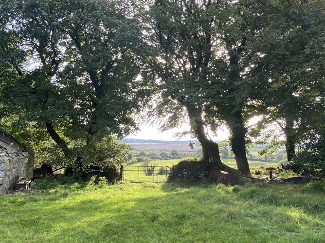 Knocknagilky, Hacketstown, Carlow