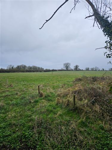 Lands at Russellstown, Kilmeage, Kildare