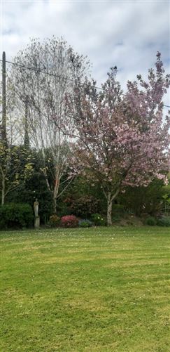 Highfield, Bauck Hill, St Mullin's, Graiguenamanagh, Co. Kilkenny