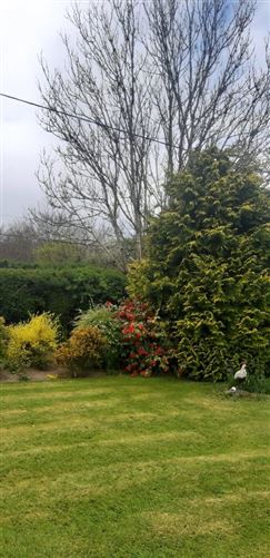 Highfield, Bauck Hill, St Mullin's, Graiguenamanagh, Co. Kilkenny