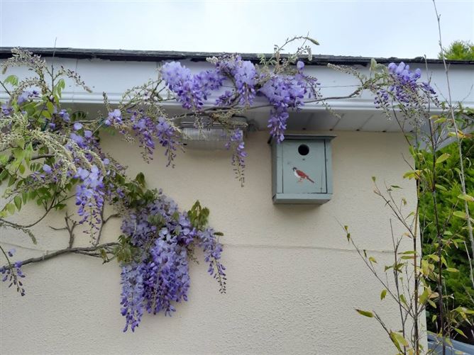 Highfield, Bauck Hill, St Mullin's, Graiguenamanagh, Co. Kilkenny